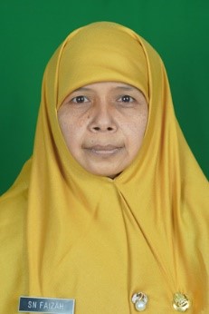 Siti Nur Faizah, S.AP
